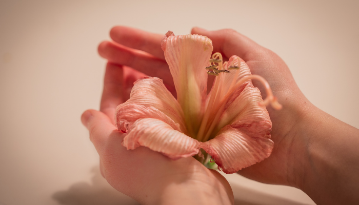 Vaginal Rejuvenation -Treatments, Procedures and Recovery 1
