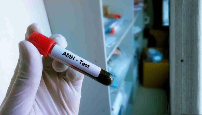 How to increase AMH levels? 2
