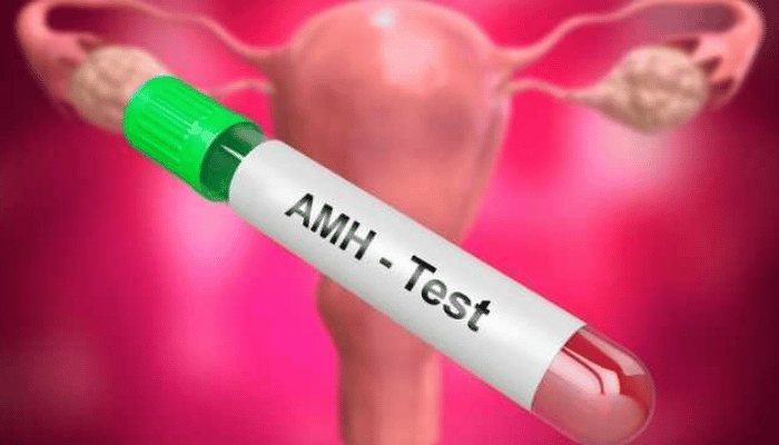 How to increase AMH levels? 1