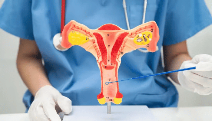 Abnormal Vaginal Bleeding