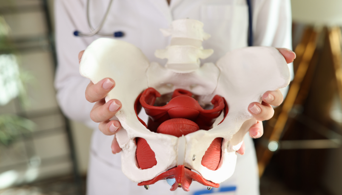 Female Genital Mutilation Reconstruction in Dubai 1
