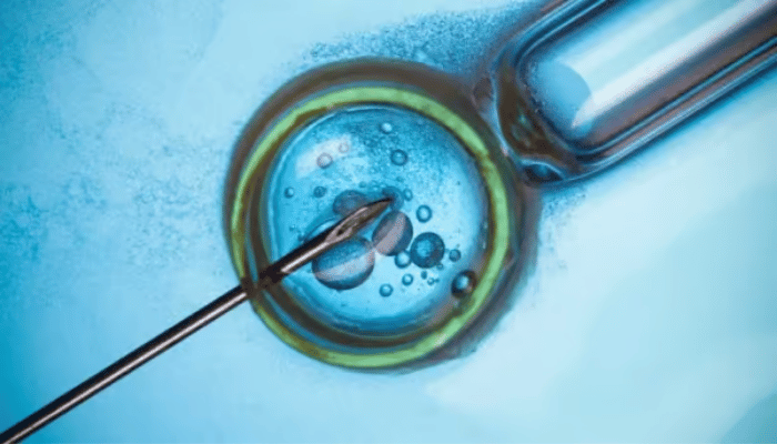 Best IVF Doctor in Dubai 2 Best IVF Doctor in Dubai