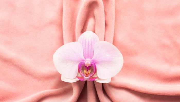 Laser Labiaplasty in Dubai 1 laser labiaplasty in dubai