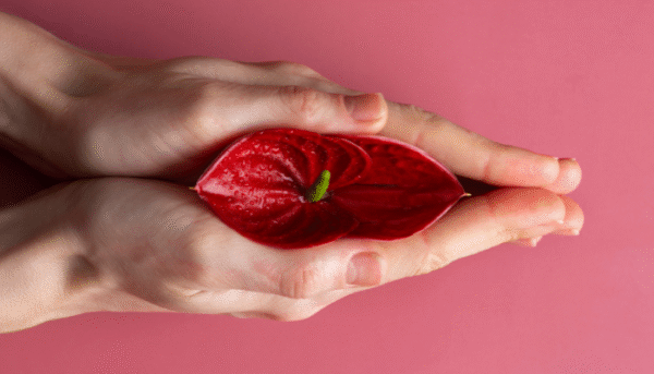 laser labiaplasty blog pic 3