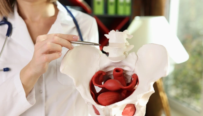 Blogs 35 understanding female genital mutation