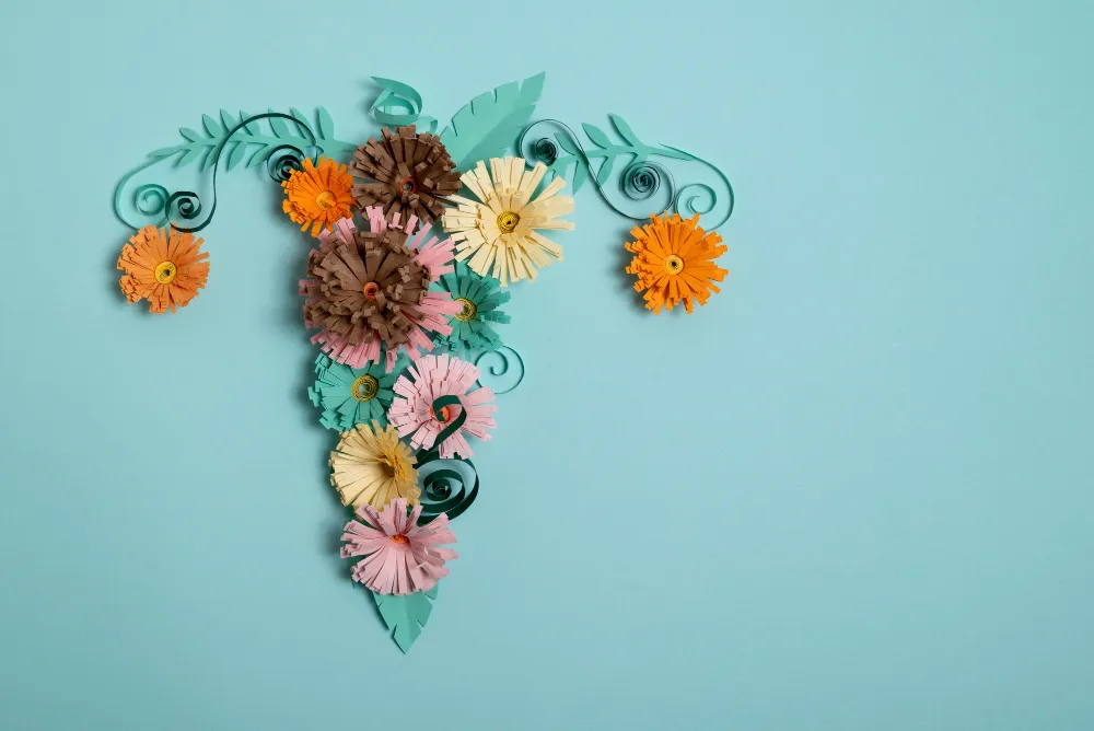 Blogs 38 Expert Vaginoplasty Surgery