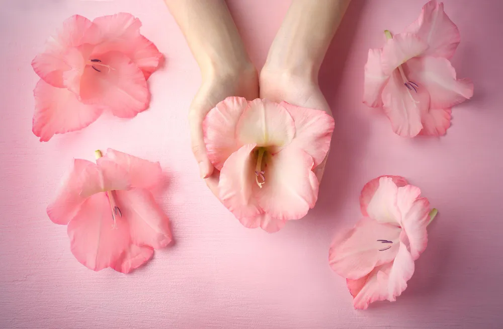 Blogs 36 Why Vaginal Tightening