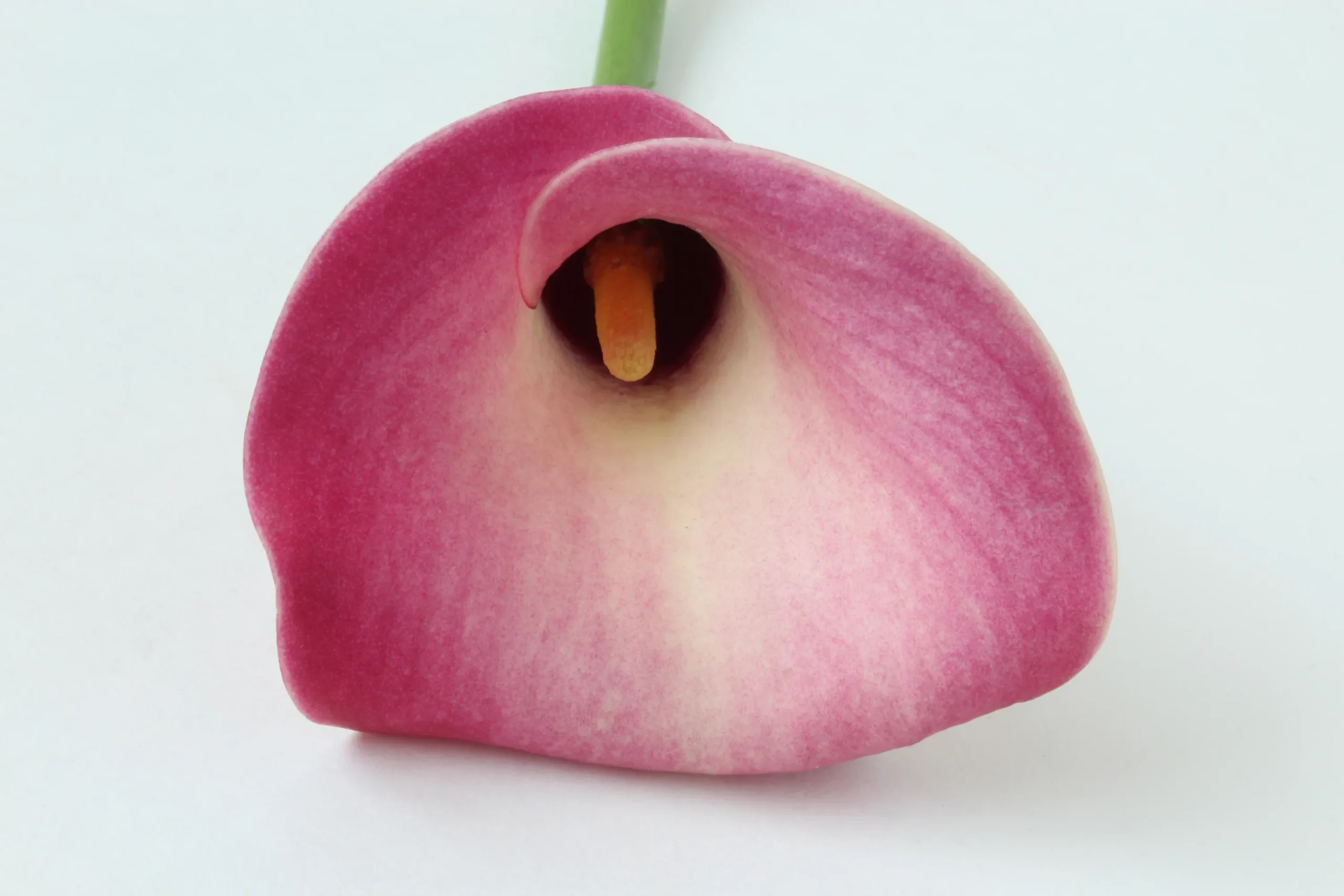 Why Women Consider Vaginal Tightening scaled