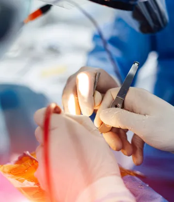 Arabic Speaking Gynecologist in Dubai 8 minimally invasive surgery