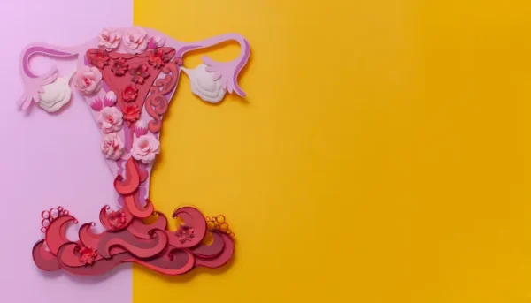 psychology impact on labiaplasty pic 2