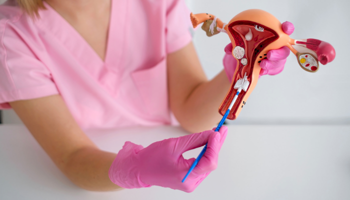Best Cosmetic Gynecologist in Dubai 3