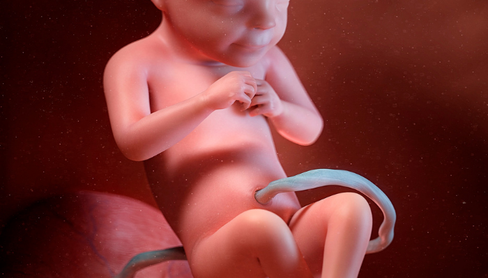 Anterior Placenta Treatment in Dubai 1 Anterior Placenta Treatment in Dubai