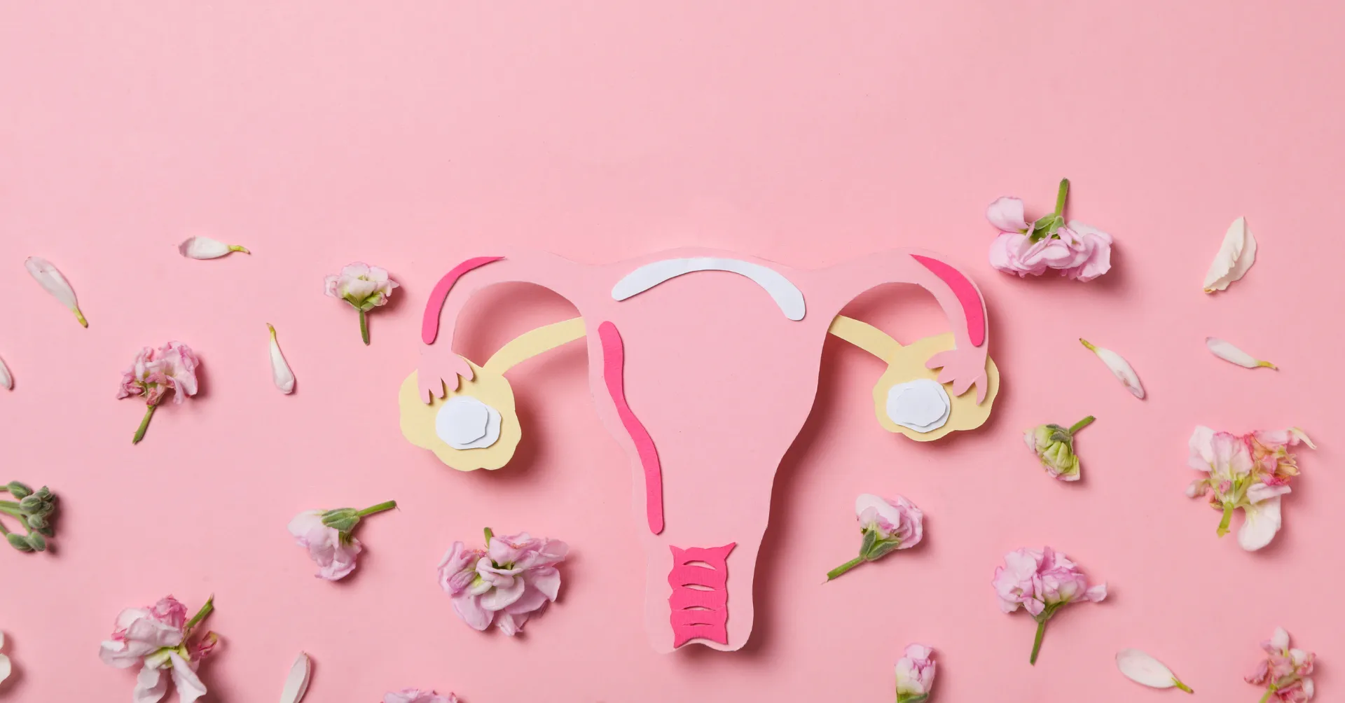 best gynecologist bg img