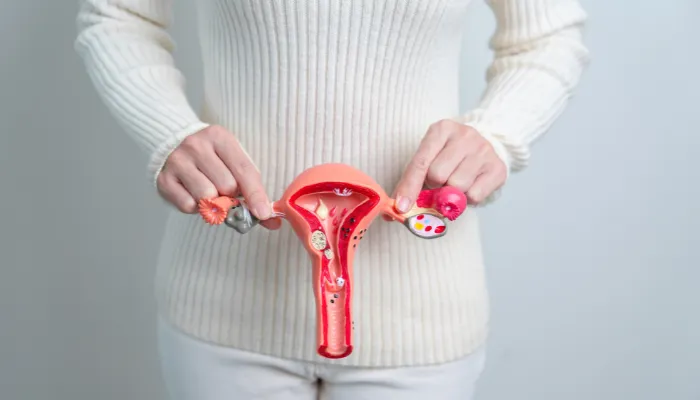 Uterine Fibroid Treatment in Dubai 3 Uterine Fibroid Treatment in Dubai